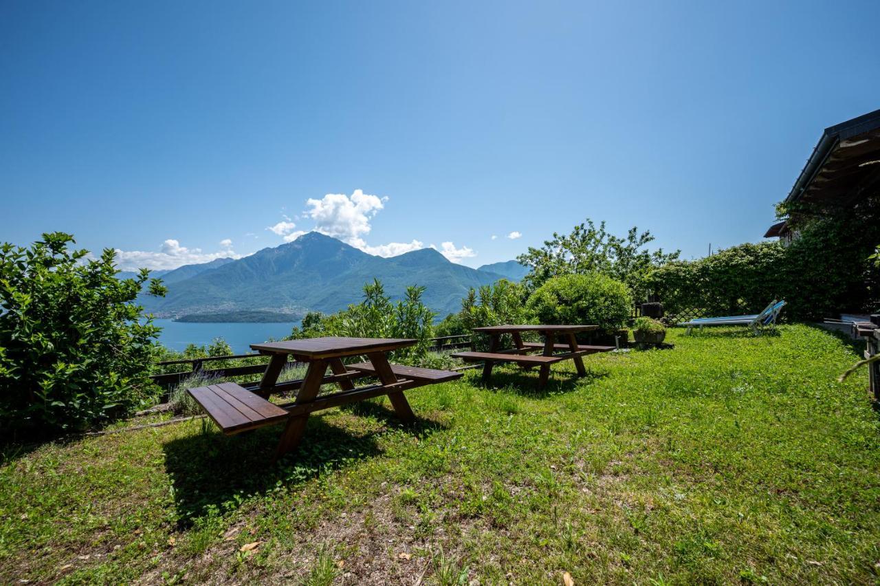 Agribenessere Brenzio Consiglio di Rumo Bagian luar foto